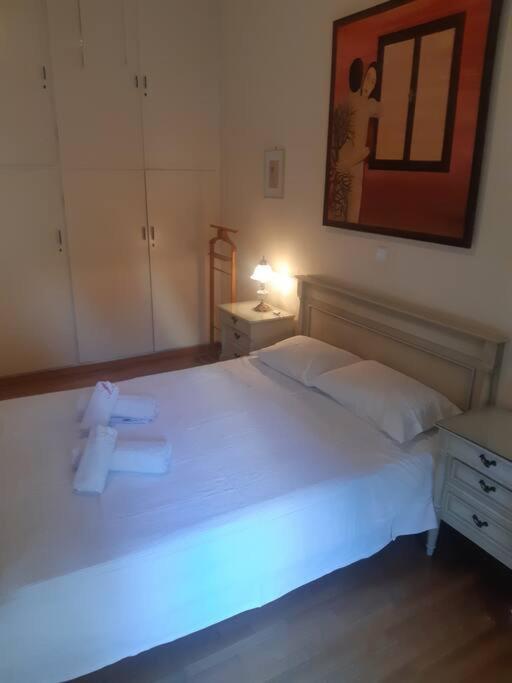 אתונה Classical Apartment At Lycabetus Hill מראה חיצוני תמונה
